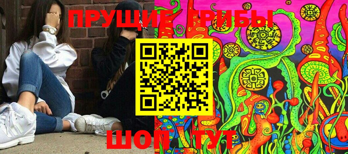 Псилоцибиновые грибы ЛСД  Вход с VPN  Елизово 