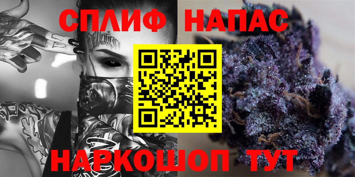 Каннабис план Елизово